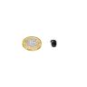 Rainbow Coloured Plastic Mini Magnetic Hooks - 1kg Pull (12mm dia x 18mm tall)