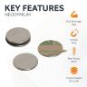 Adhesive 20mm dia x 1.5mm N42 Neodymium Magnet - 2kg Pull