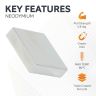 25.4mm x 25.4mm x 6.35mm thick N42 Neodymium Magnet - 5.91kg Pull - Licensed Material