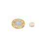 9mm dia x 3mm thick Samarium Cobalt Magnet - 1kg Pull