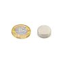 15mm dia x 5mm thick N42 Neodymium Magnet - 5.4kg Pull