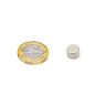 8mm dia x 5mm thick N42 Neodymium Magnet - 1.9kg Pull