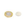 15mm dia x 1mm thick N42 Neodymium Magnet - 1.1kg Pull