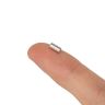 3mm dia x 6mm thick N42 Neodymium Magnet - 0.39kg Pull
