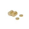 6mm dia x 1.5mm thick Gold Plated Therapy Magnets - Dimple On North Face - 0.58kg Pull