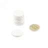 16mm dia x 2mm thick White Painted Mild Steel Disc with 3M™ Self-Adhesive