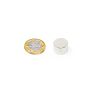 25.4mm dia x 15.87mm thick N42 Neodymium Magnet - 20.13kg Pull - Licensed Material
