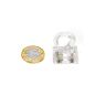 Clear Plastic Magnetic Hooks - 2kg Pull (26 x 19 x 38mm)