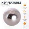 10mm dia N42 Neodymium Sphere Magnets - 1.4kg Pull