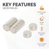 12mm dia x 6mm thick N42 Neodymium Magnet - 4.3kg Pull