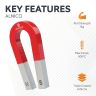 Traditional Alnico Horseshoe Magnet & Iron Powder Set - Science & Education