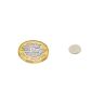 8mm dia x 1mm thick N35 Neodymium Magnet - 0.39kg Pull