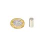 6mm dia x 14mm thick Diametrically Magnetised N42 Neodymium Magnet - 1.32kg Pull