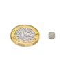5mm dia x 3mm thick N45 Neodymium Magnet (Identifiable North Face) - 0.8kg pull