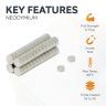 2mm dia x 1mm thick N42 Neodymium Magnet - 0.11kg Pull