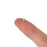 4mm dia x 2mm thick N35 Neodymium Magnet - 0.38kg Pull