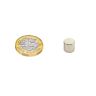 8mm dia x 7.25mm thick N42 Neodymium Magnet - 2.4kg Pull