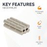 3mm dia x 6mm thick N42 Neodymium Magnet - 0.39kg Pull