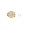 10mm dia x 2mm thick Samarium Cobalt Magnet - 0.9kg Pull