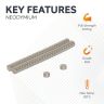 4mm dia x 2mm thick N35 Neodymium Magnet - 0.38kg Pull