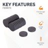 25mm dia x 5mm thick Y10 Ferrite Magnet - 0.6kg Pull