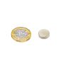 12mm dia x 3mm thick N42 Neodymium Magnet - 2.5kg Pull