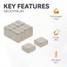 10 x 10 x 5mm thick N42 Neodymium Magnet - 3.5kg Pull