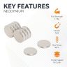 14mm dia x 2mm thick N42 Neodymium Magnet - 1.7kg Pull