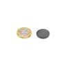 20mm x 3mm thick Y10 Ferrite Magnet - 0.6kg Pull