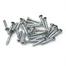 SCREWD Woodscrew 4mm x 25mm (4 Packs of 30)