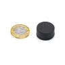 21.5mm dia x 11.4mm thick Rubber Coated N42 Neodymium Magnet - 6.9kg Pull