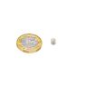 4mm dia x 4mm thick N42SH Neodymium Magnet - 0.5kg Pull
