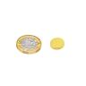 12mm dia x 2mm thick Gold Plated Polarity Magnets - Dimple On North Face - 1.2kg Pull