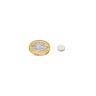 8mm dia x 2mm thick Samarium Cobalt Magnet - 0.7kg Pull