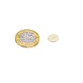 12mm dia x 1mm thick N35 Neodymium Magnet - 0.6kg Pull