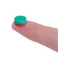 12.7mm dia x 6.3mm thick Stock Indicator Magnet - 1.2kg Pull