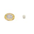 6mm dia x 5mm thick N42 Neodymium Magnet - 1.2kg Pull