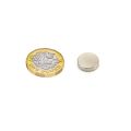 12mm dia x 3mm thick N35 Neodymium Magnet - 1.8kg Pull