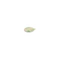 Adhesive 15mm dia x 1mm N42 Neodymium Magnet - 1.1kg Pull