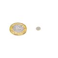 6mm dia x 0.5mm thick N42 Neodymium Magnet - 0.2kg Pull