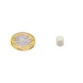 6mm dia x 6mm thick N42SH Neodymium  Magnet - 1.4kg Pull