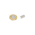 25.4mm x 9.52mm x 9.52mm thick N42 Neodymium Magnet - 6.9kg Pull - Licensed Material