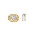 6mm dia x 14mm thick Diametrically Magnetised N42 Neodymium Magnet - 1.32kg Pull