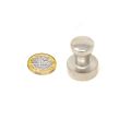 Chrome Skittle Pot Magnet (20mm dia x 25mm tall) - 9kg Pull