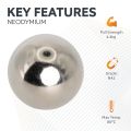 19mm dia N42 Neodymium Sphere Magnet - 4.4kg Pull