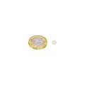 6mm dia x 1mm thick N42 Neodymium Magnet - 0.35kg Pull