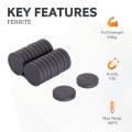 25mm dia x 5mm thick Y10 Ferrite Magnet - 0.6kg Pull