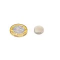 12mm dia x 3mm thick N42 Neodymium Magnet - 2.5kg Pull
