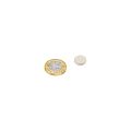 12mm dia x 2mm thick N42 Neodymium Magnet - 1.6kg Pull