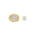 10mm dia x 5mm thick Samarium Cobalt Magnet - 2kg Pull